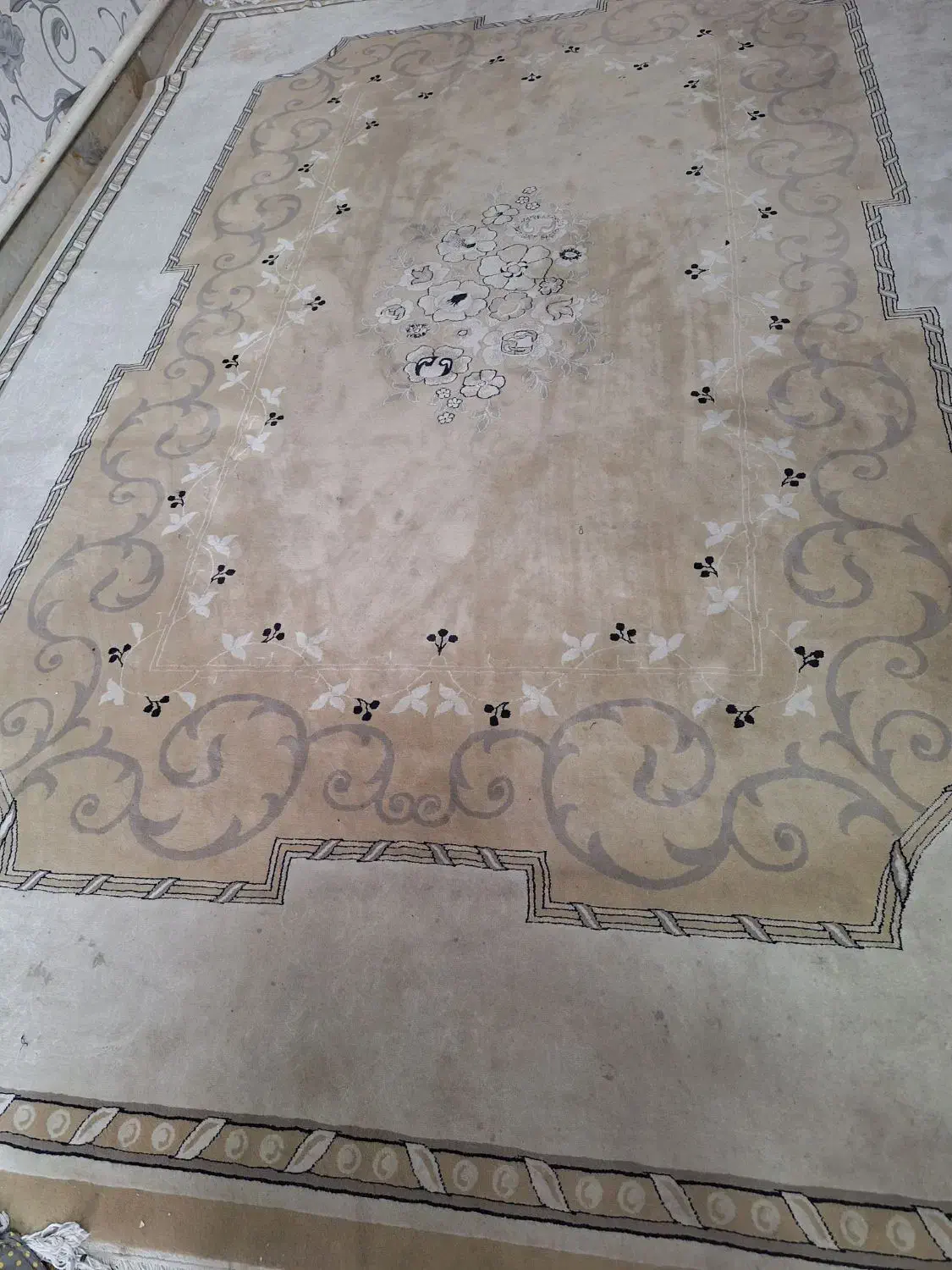 فرش ۹ متری|فرش|کرج, کوی مدرس|دیوار