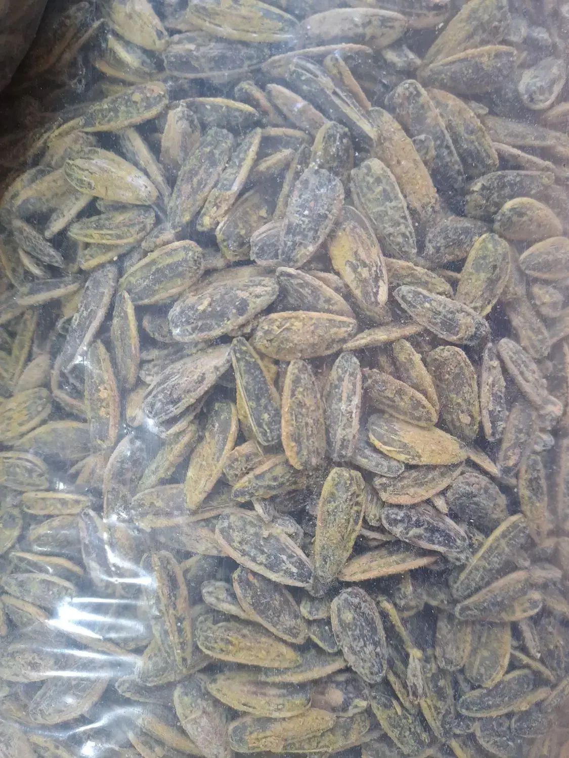 تخمه خارجی|عمدهفروشی|کرج, کارخانه قند|دیوار