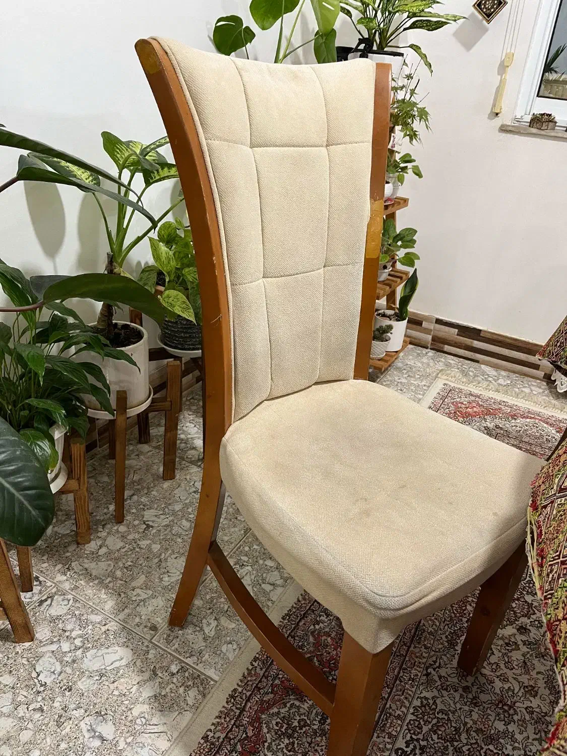 صندلی میزنهار خوری|میز و صندلی غذاخوری|لنگرود, |دیوار