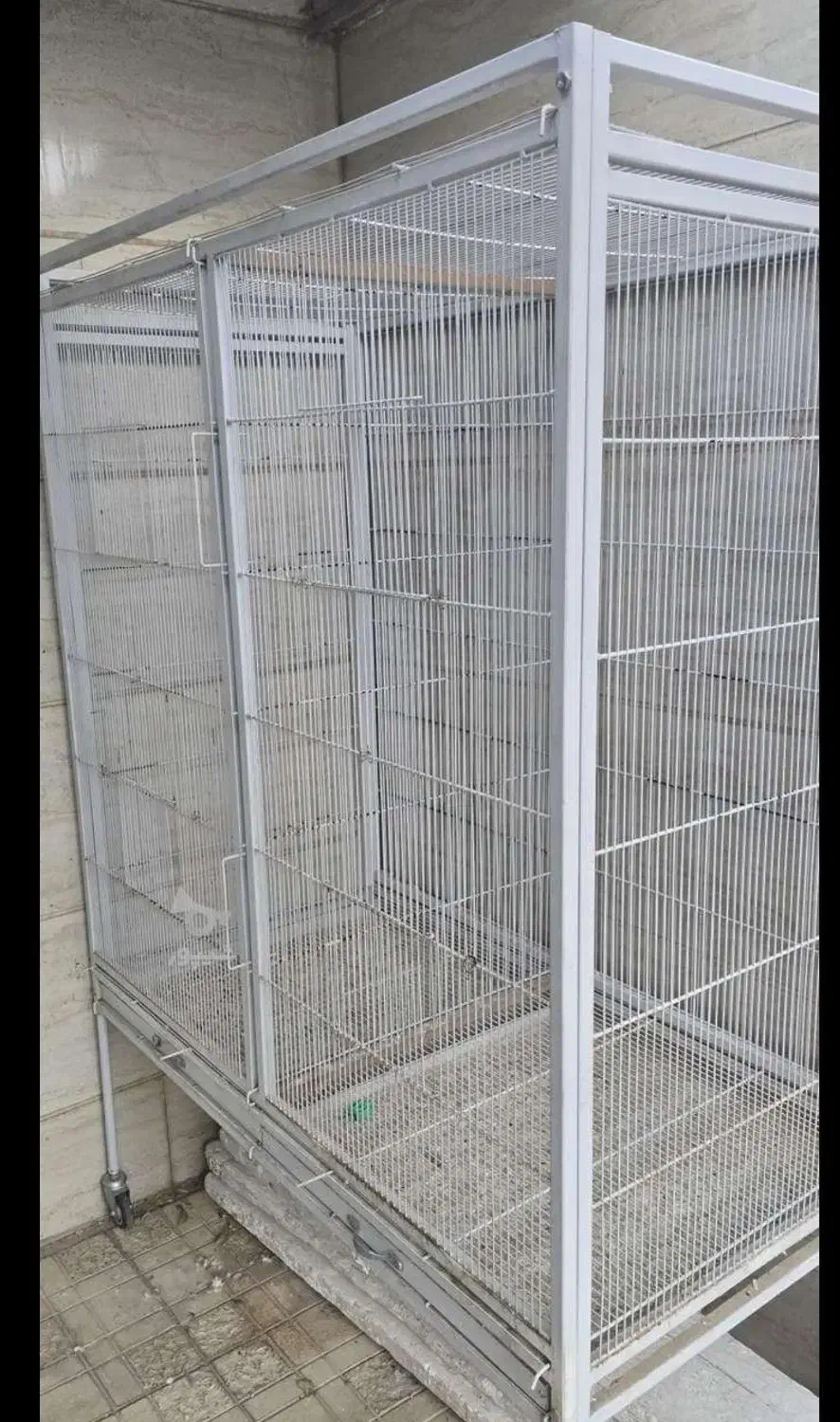 فروش جوجه پران سابز 1×۱/۵|لوازم جانبی حیوانات|تاکستان, |دیوار