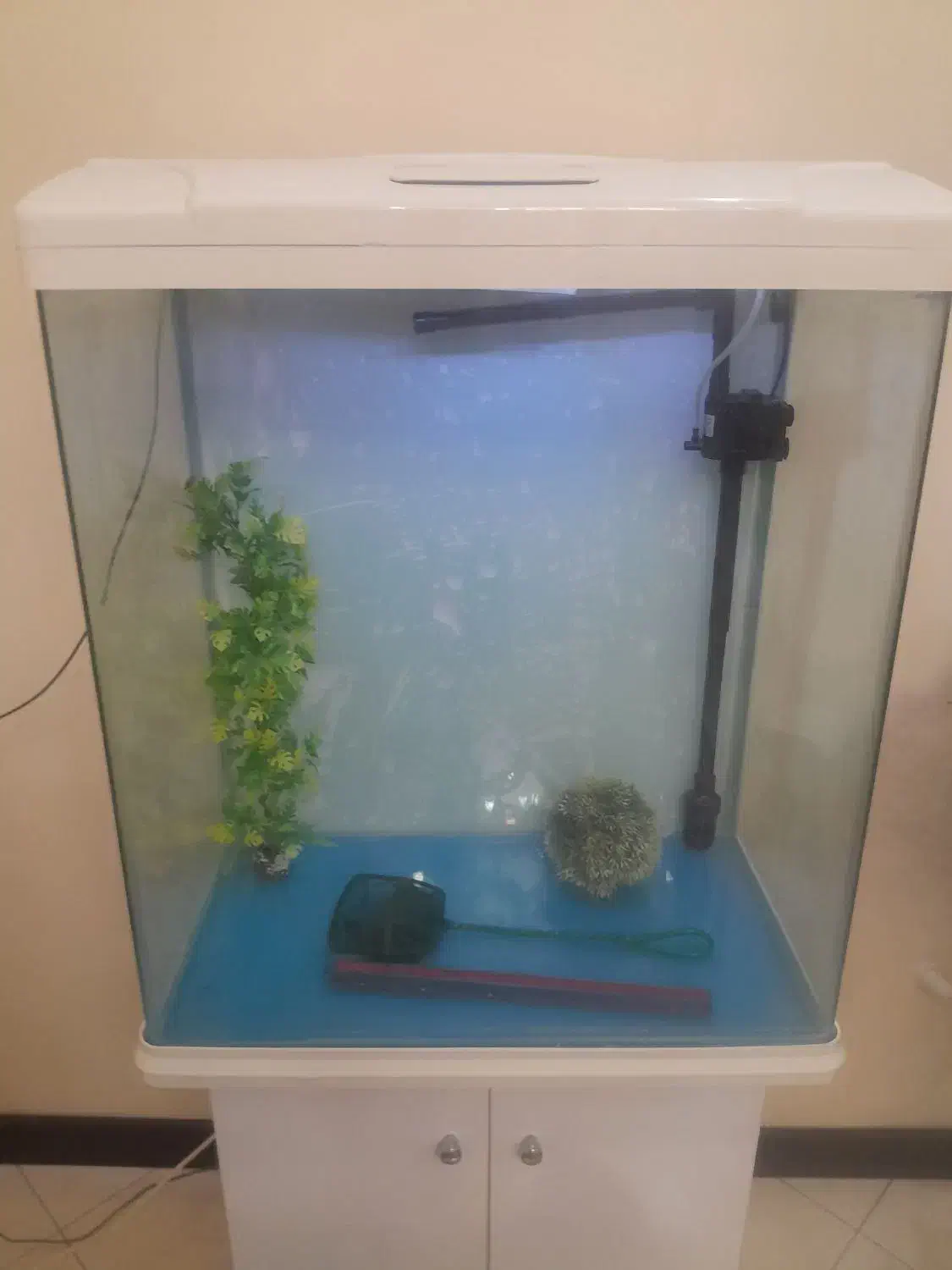 اکواریوم|ماهی|تهران, افسریه شمالی|دیوار