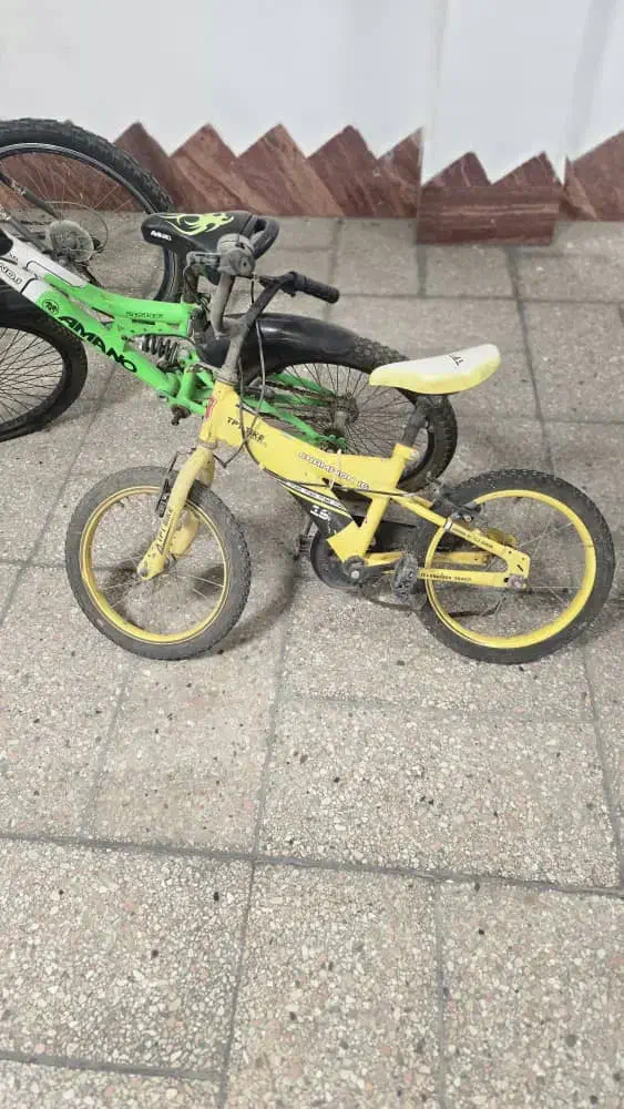 دوچرخه|دوچرخه، اسکیت، اسکوتر|آمل, |دیوار