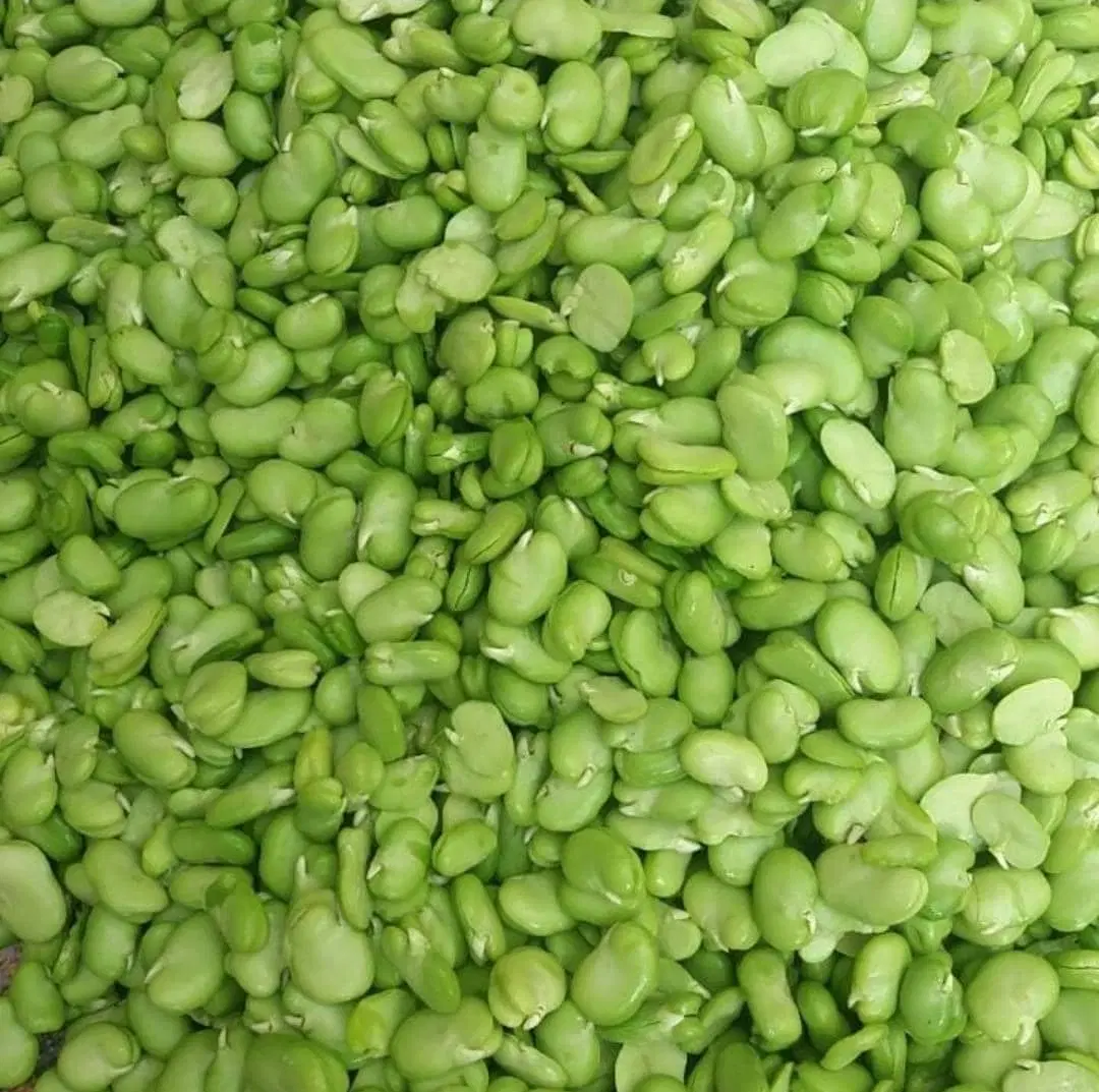 لوبیاسبز باقالی ....|خوردنی و آشامیدنی|تهران, ائمه اطهار|دیوار