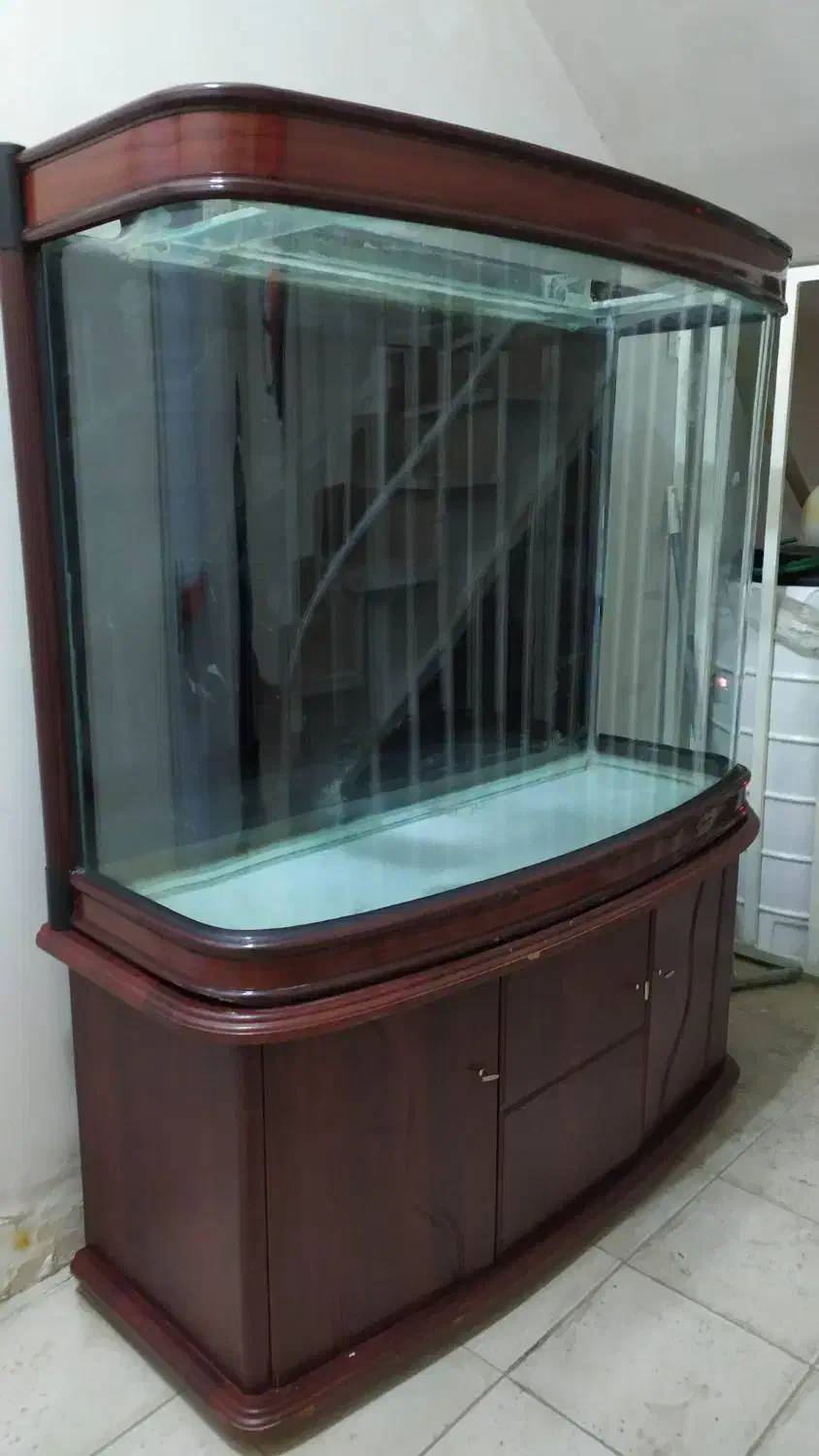 اکواریوم خارجی|ماهی|مشهد, فرهنگیان (شهرک غرب)|دیوار