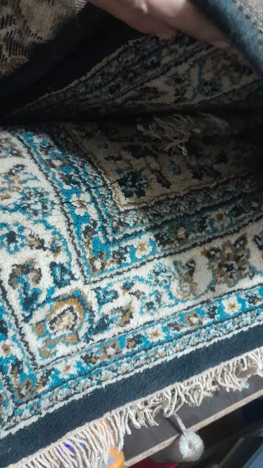 فرش ۱۲متری|فرش|خاوران, |دیوار