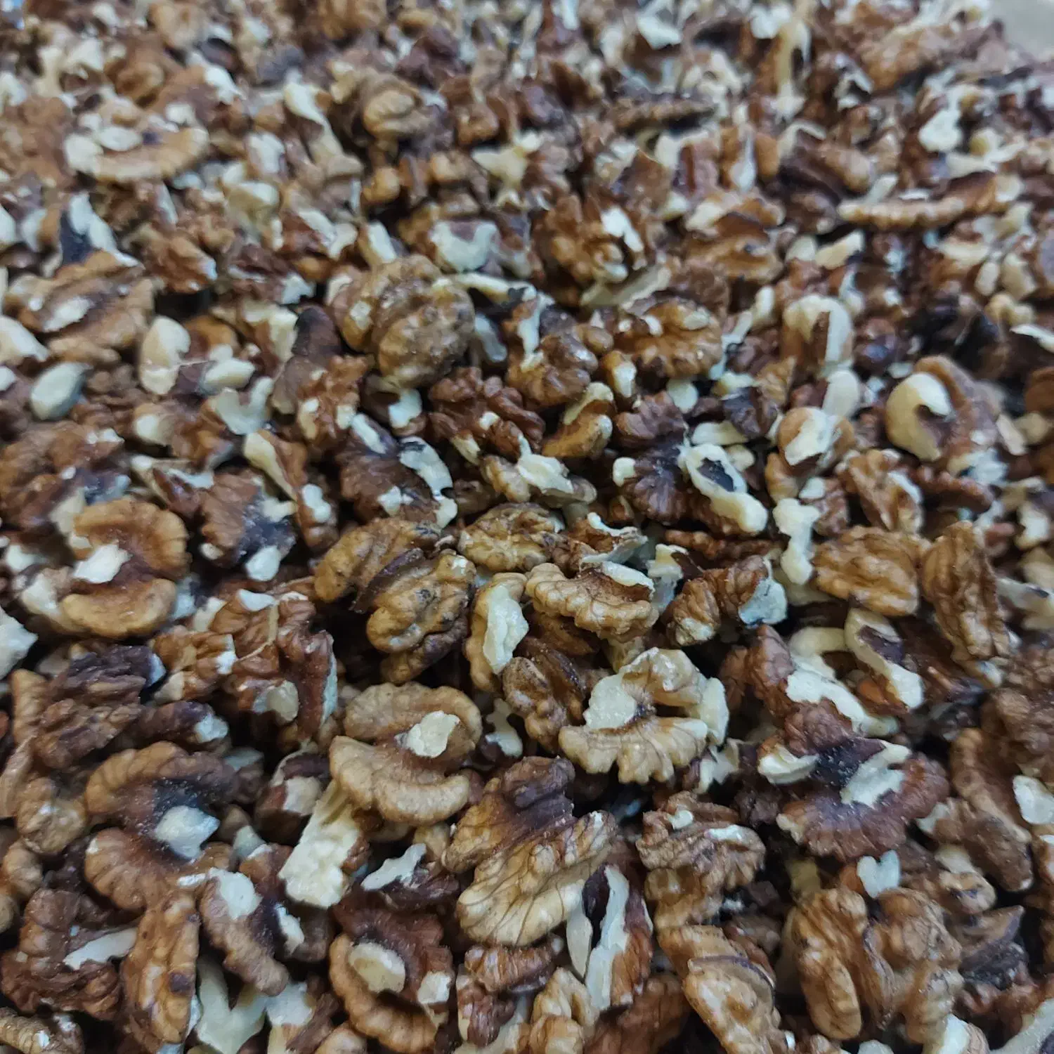 گردو|خوردنی و آشامیدنی|رشت, چله خانه|دیوار