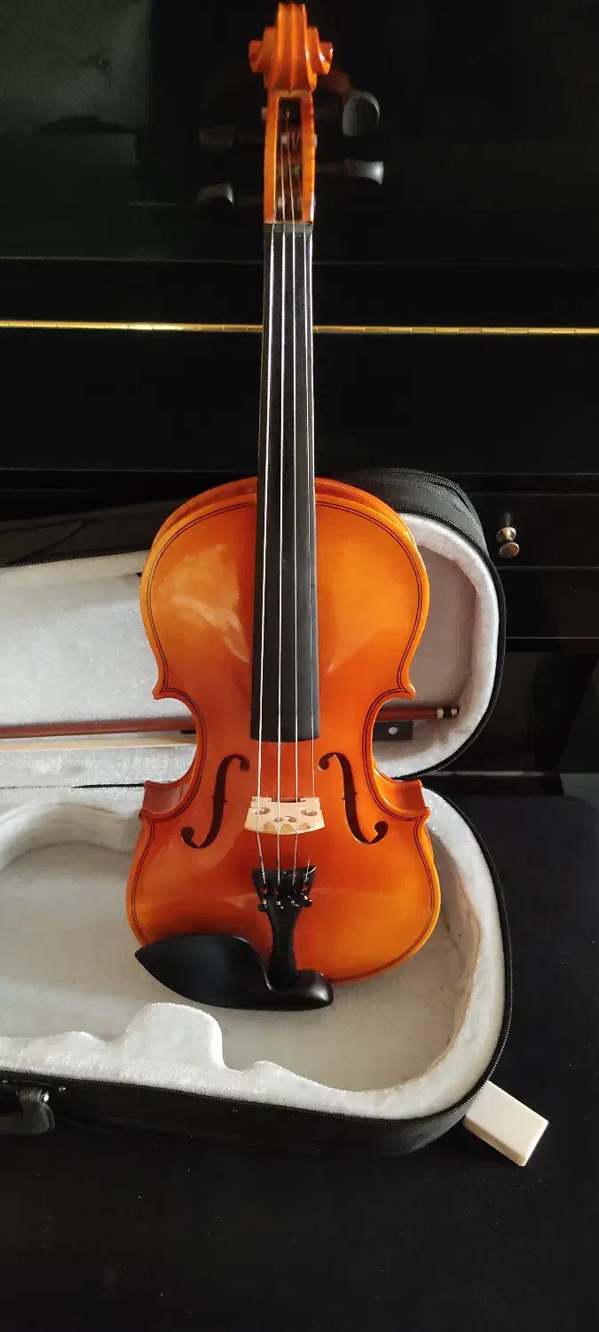 ویولن|ویولن|زاهدان, |دیوار