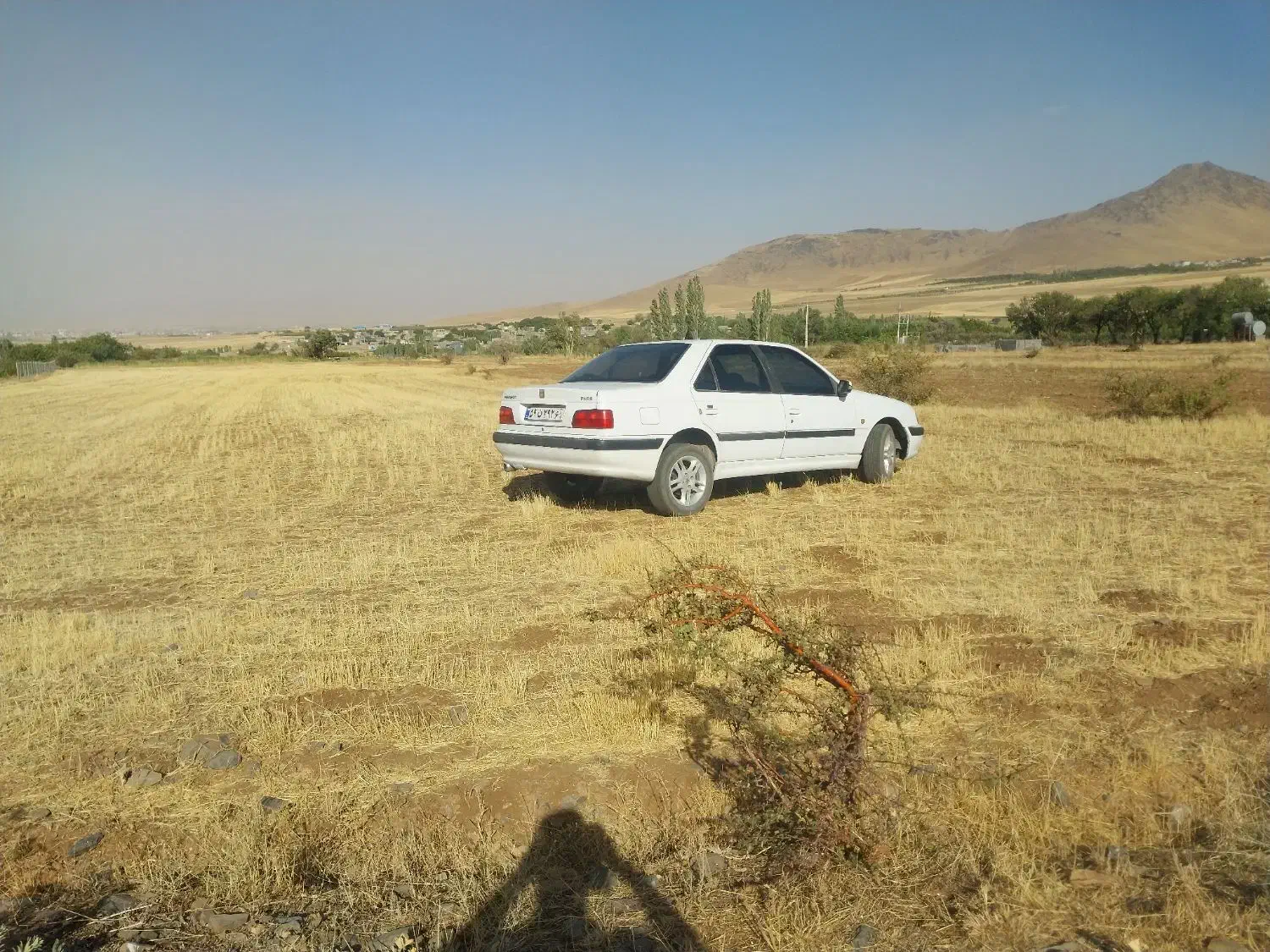 زمین باغی در ویهج اول جاده قمرعلی|فروش زمین و ملک کلنگی|قروه, |دیوار