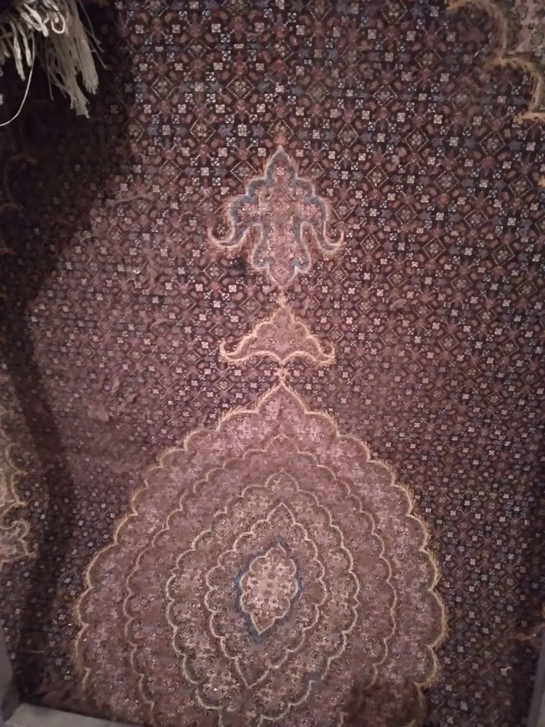 فرش بافی|فرش|اردبیل, |دیوار