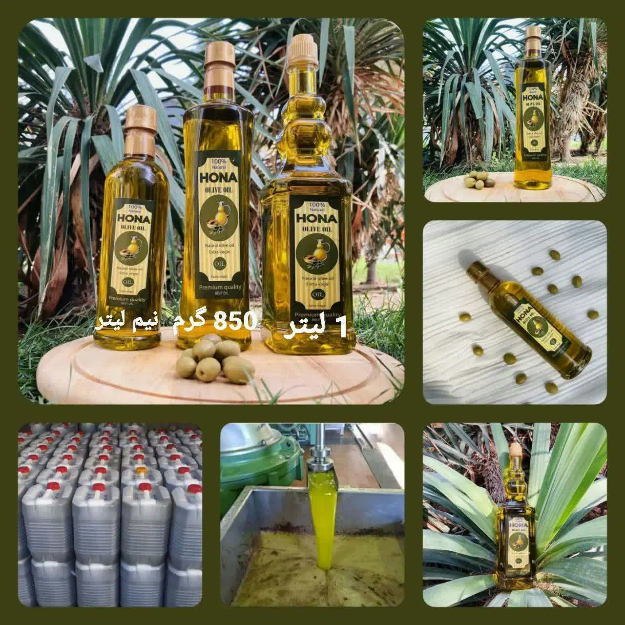 روغن زیتون بی بو و بابو ارده کنجدکنجد آفتابگردان‌|عمده‌فروشی|قم, الوندیه و گذر صادق|دیوار