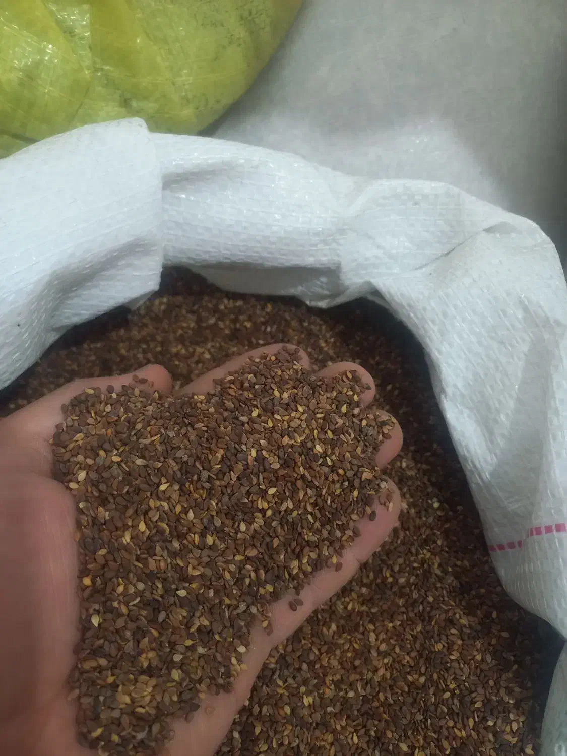 کنجد محلی|خوردنی و آشامیدنی|دره شهر, |دیوار