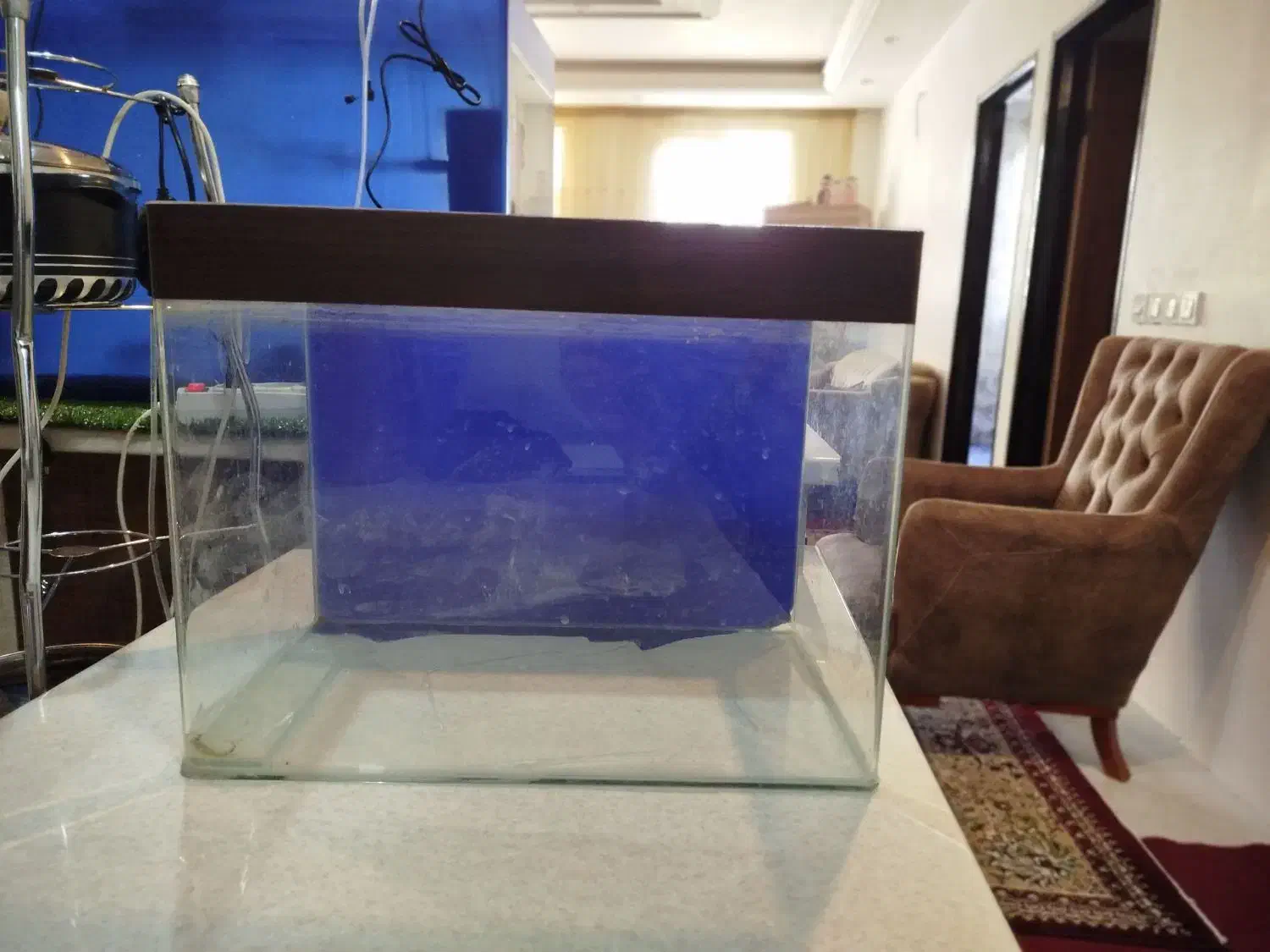 آکواریوم شرکتی ۵۰۰|ماهی|شیروان (خراسان), |دیوار