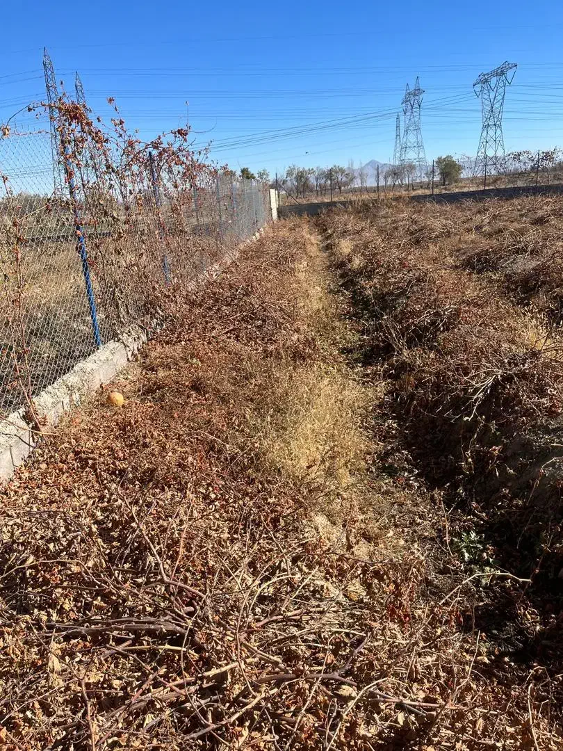 فروش باغ فوری|فروش زمین و ملک کلنگی|گلپایگان, |دیوار