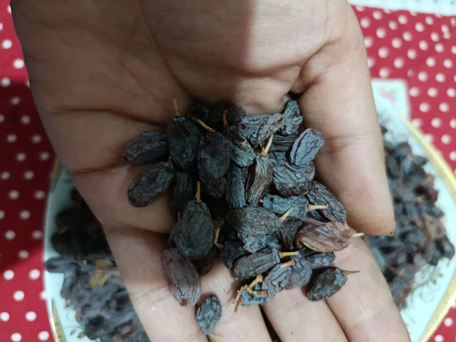 حراج مغز گردو فقط 350تومان تولید به مصرف|خوردنی و آشامیدنی|فشاپویه, |دیوار