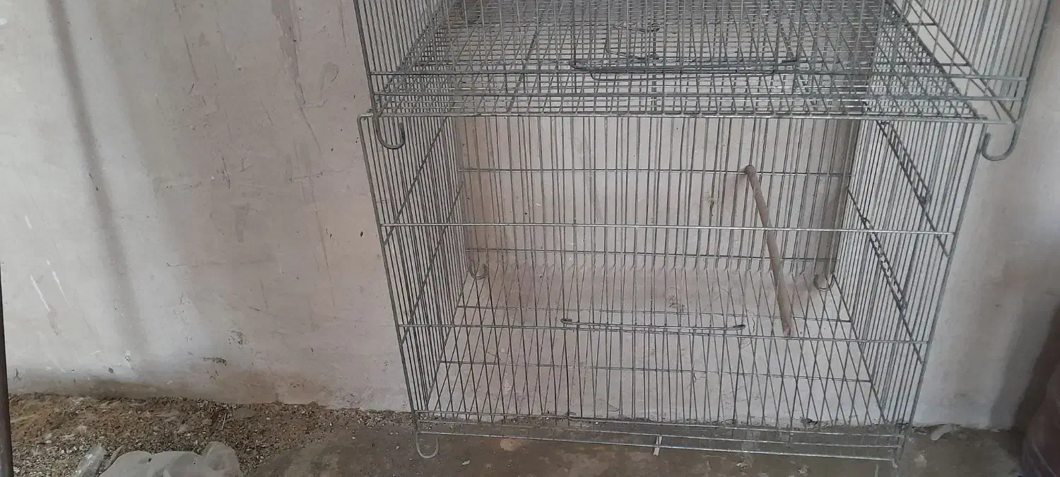 لانه پرنده|لوازم جانبی حیوانات|کاشان, قطب راوندی|دیوار