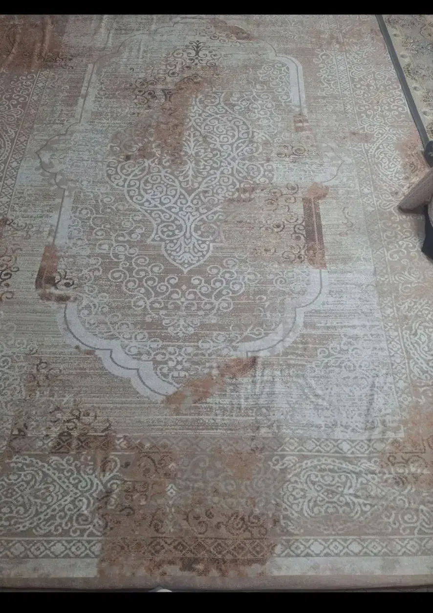 روفرشی.نو|روفرشی|تربت جام, شهرک آزادگان|دیوار