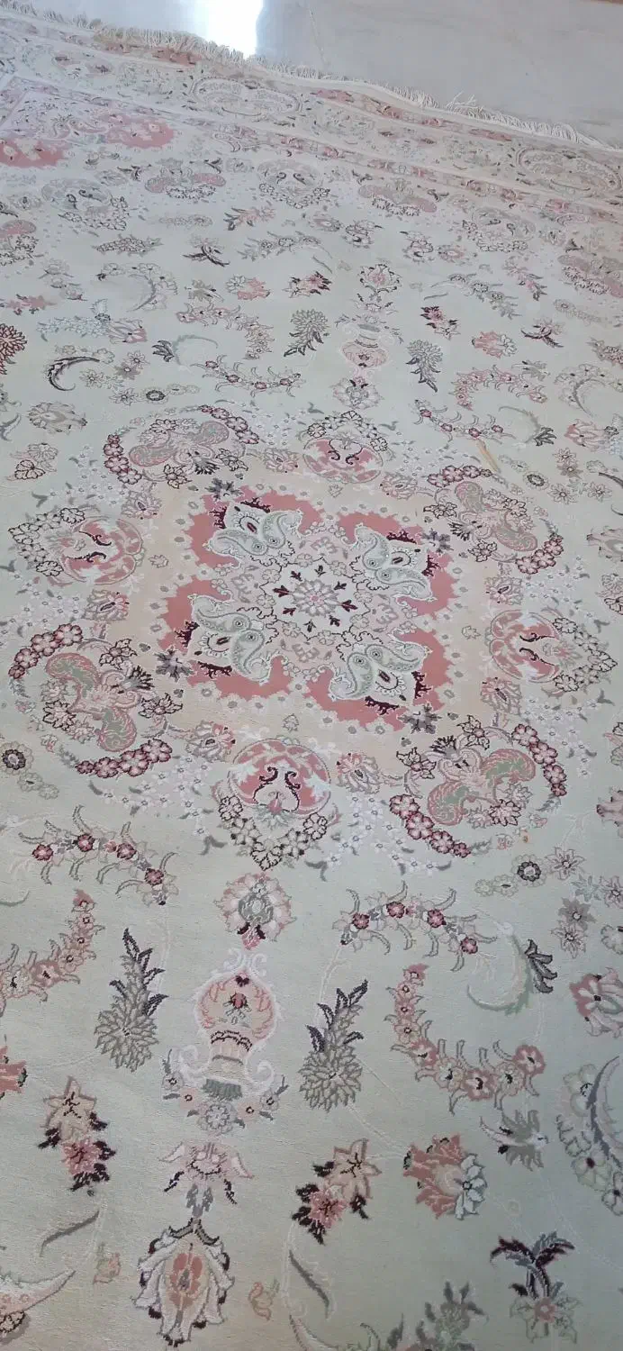 فرش|فرش|گرگان, |دیوار