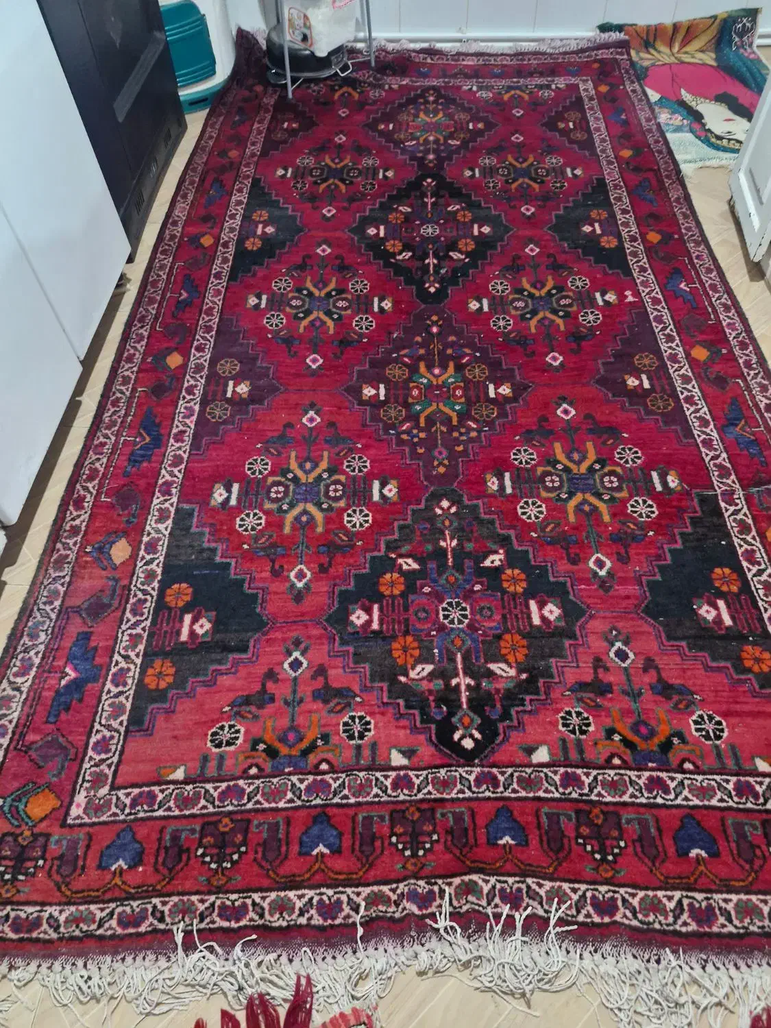 فرش|فرش|قوچان, |دیوار