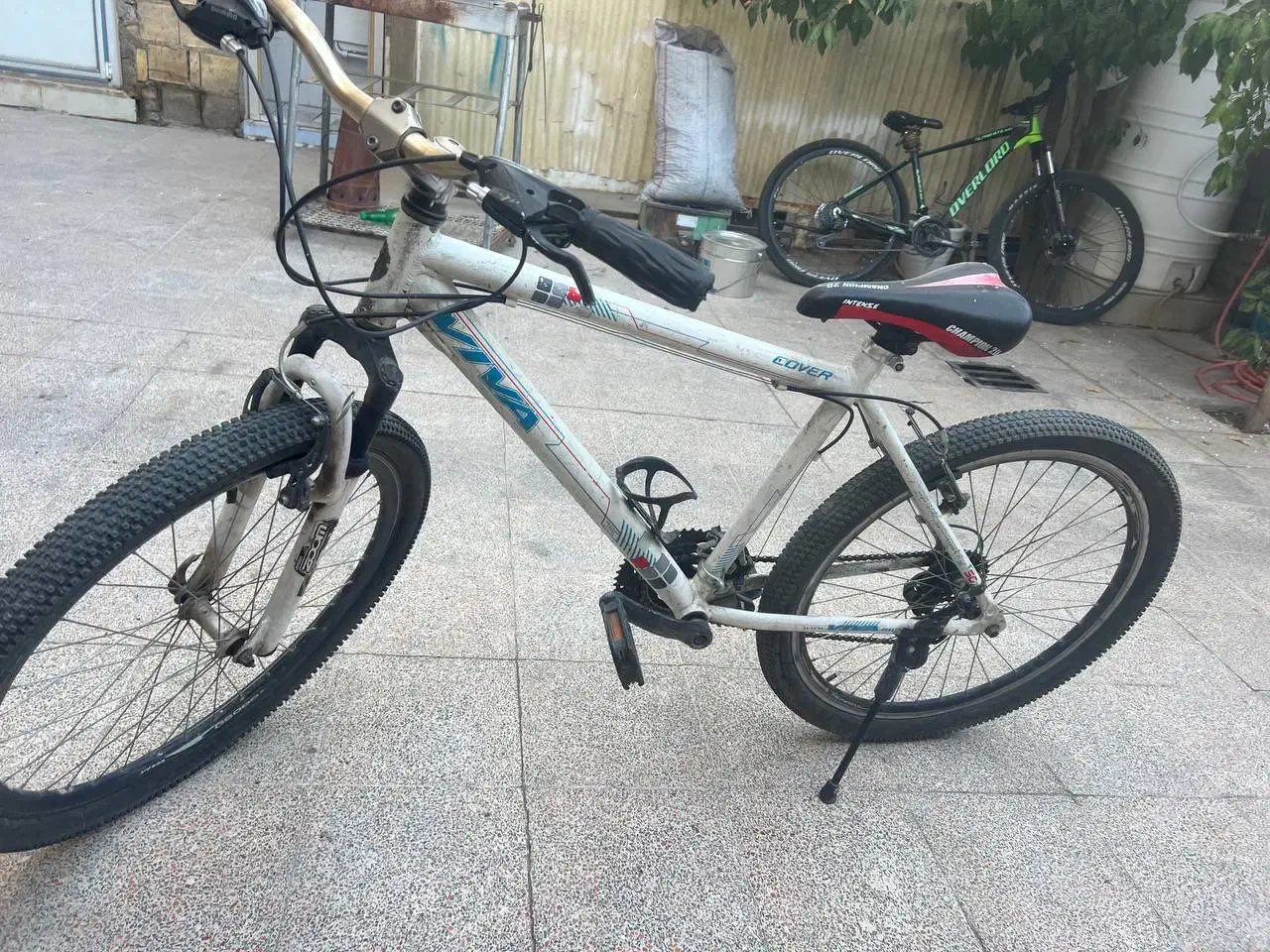 دوچرخه ویوا|دوچرخه، اسکیت، اسکوتر|ایذه, |دیوار