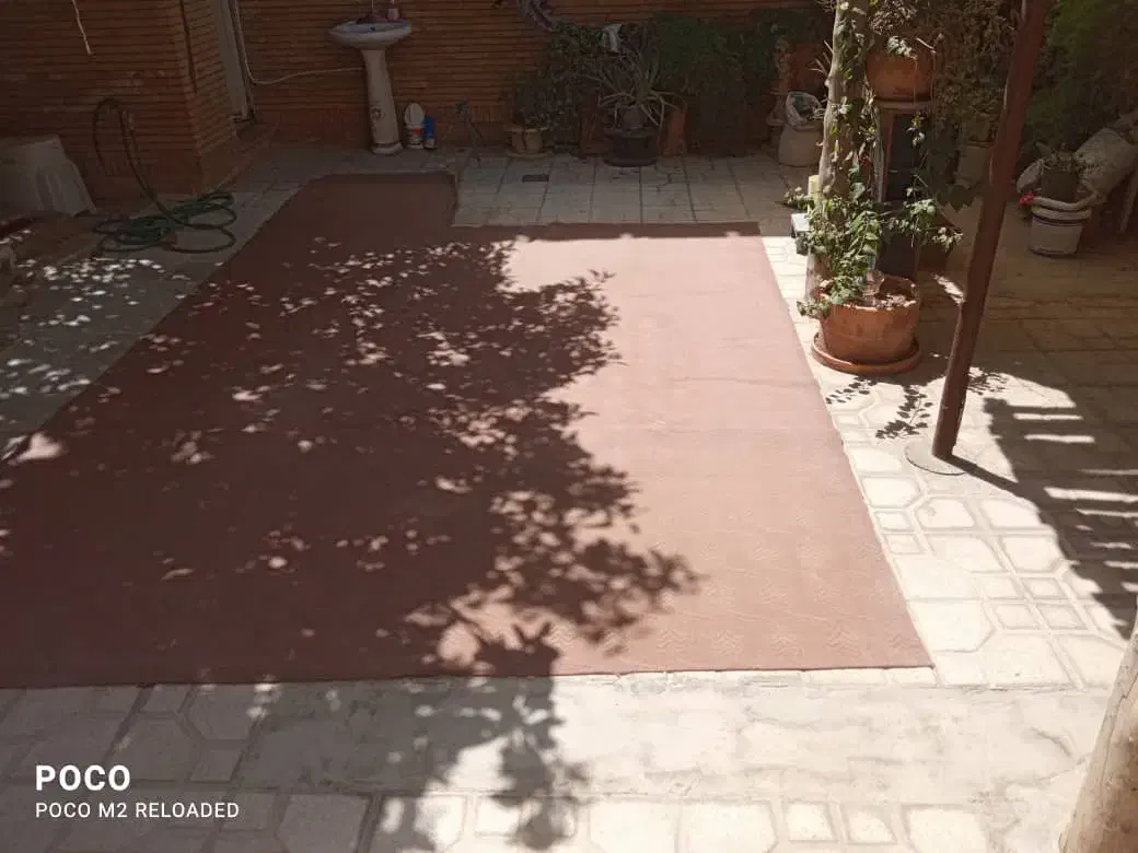 موکت|موکت|شیراز, میانرود|دیوار