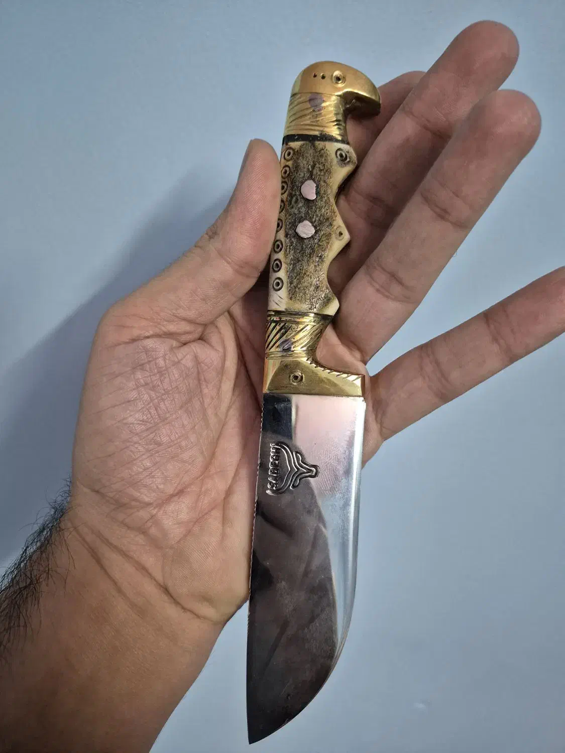 چاقو ترکمنی ۲۲ سانتی کلکسیونی|کوهنوردی و کمپینگ|گنبد کاووس, |دیوار