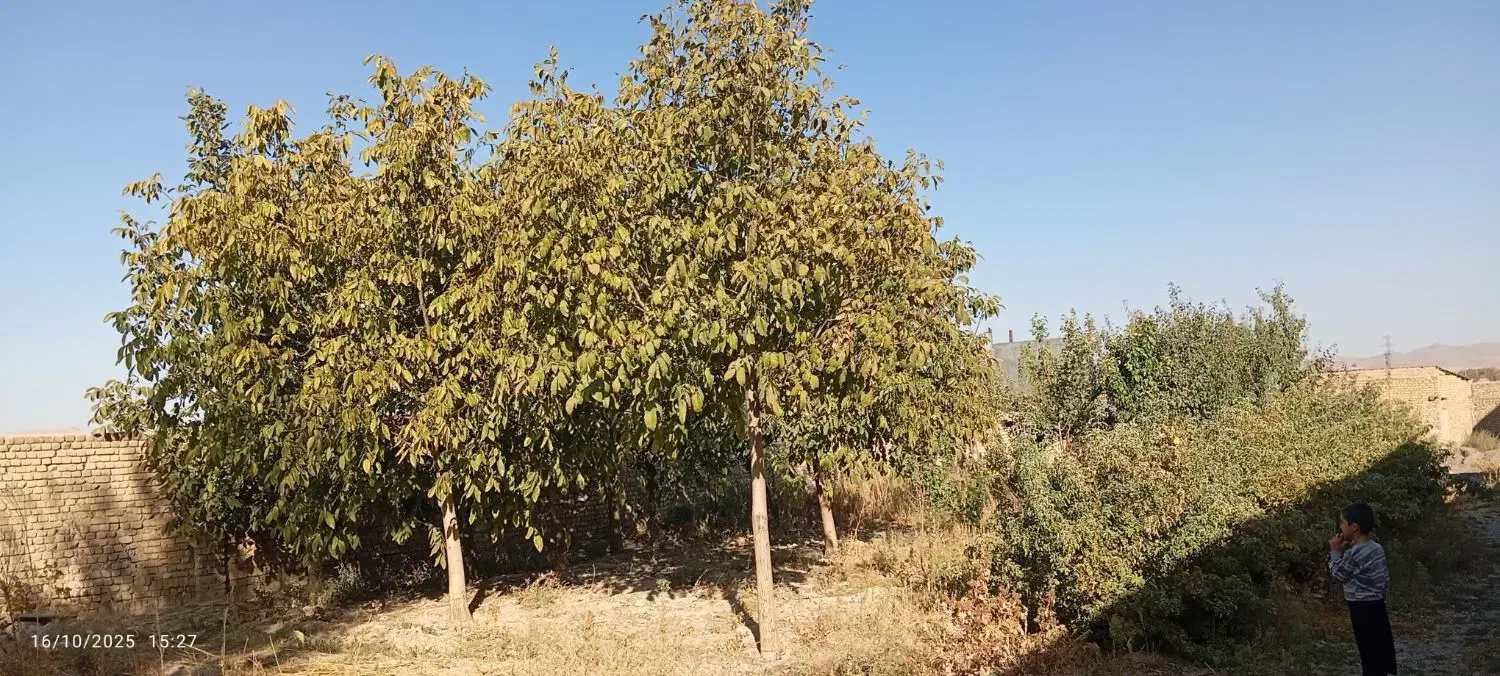 زمین چهار دیواری|فروش خانه و ویلا|خنداب, |دیوار