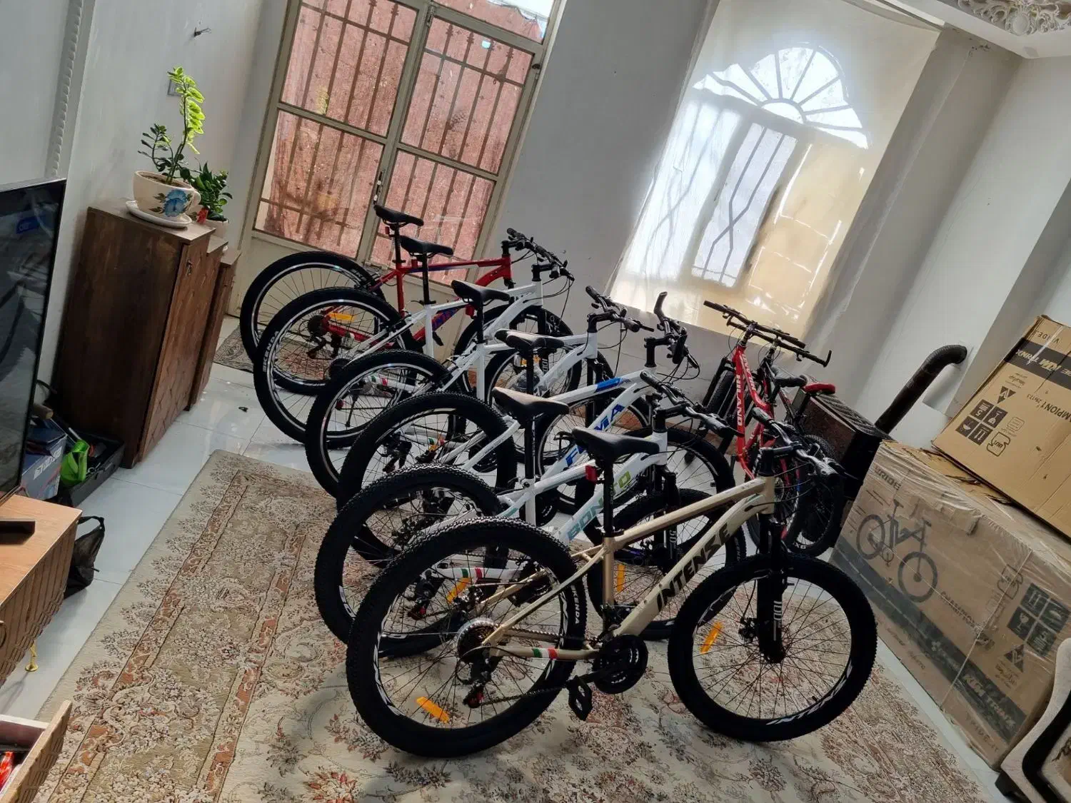 فروشگاه انواع دوچرخه 24و26و27/5و29 دنده آکبند صفر|دوچرخه، اسکیت، اسکوتر|نیشابور, رحمت آباد|دیوار