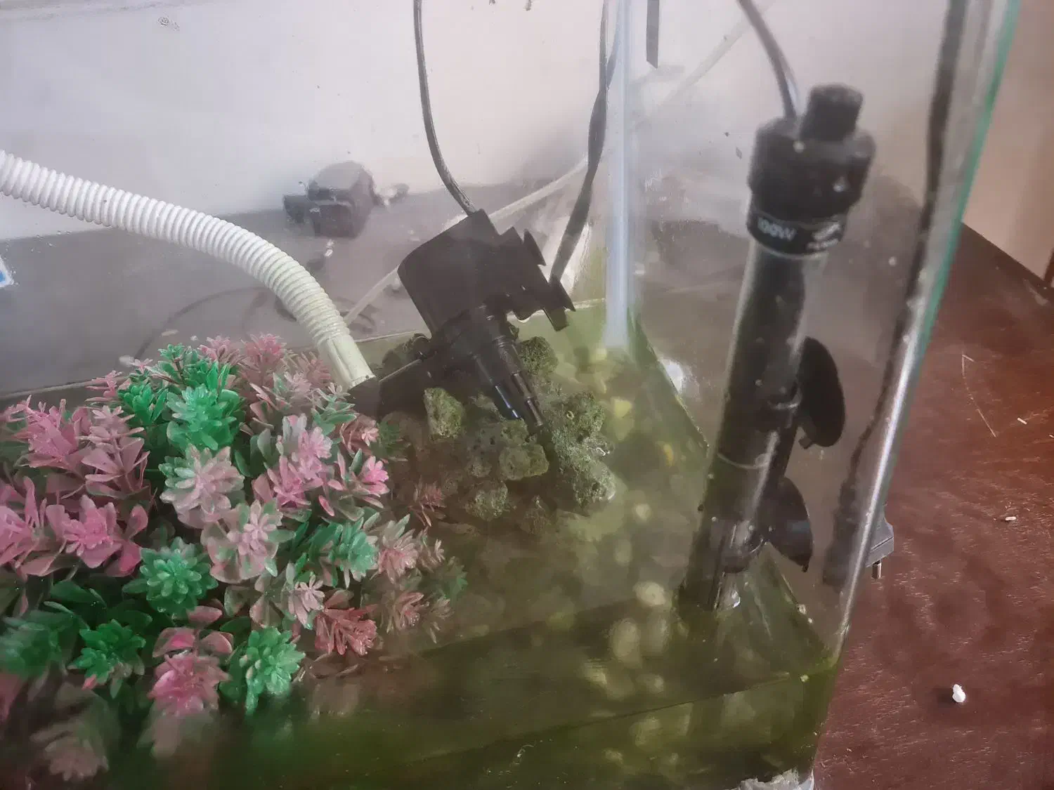 آکواریوم بزرگ کاملا سالم|ماهی|تهران, شمس‌آباد|دیوار