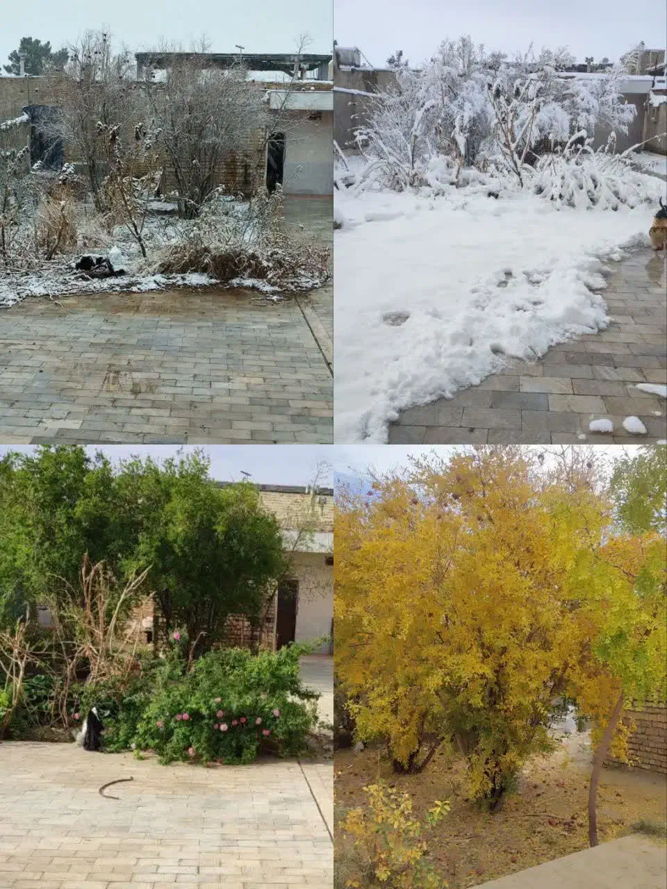 خونه باغ خونه روستایی|فروش خانه و ویلا|هرند, |دیوار