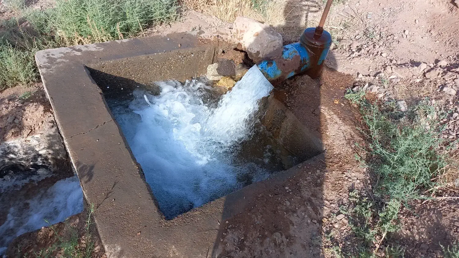 زمین باغی وزوان پشته دانشگاه پیام نور وزوان|فروش زمین و ملک کلنگی|میمه, |دیوار