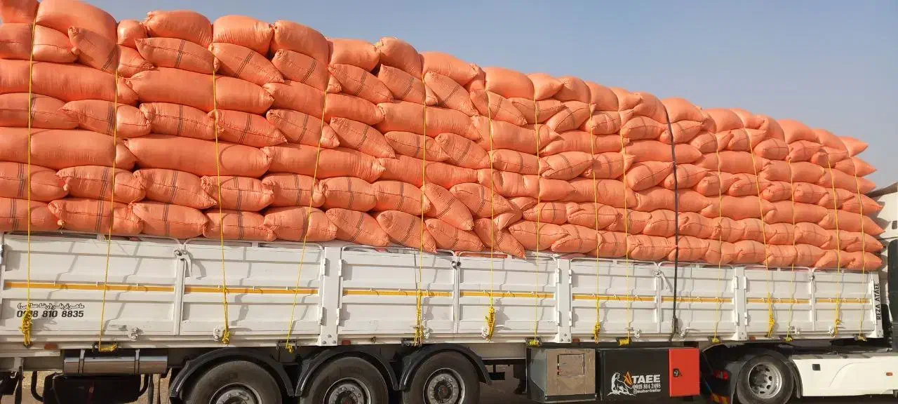 فروش بهترین گاه گندم در کردستان ایران|عمده‌فروشی|سنندج, |دیوار