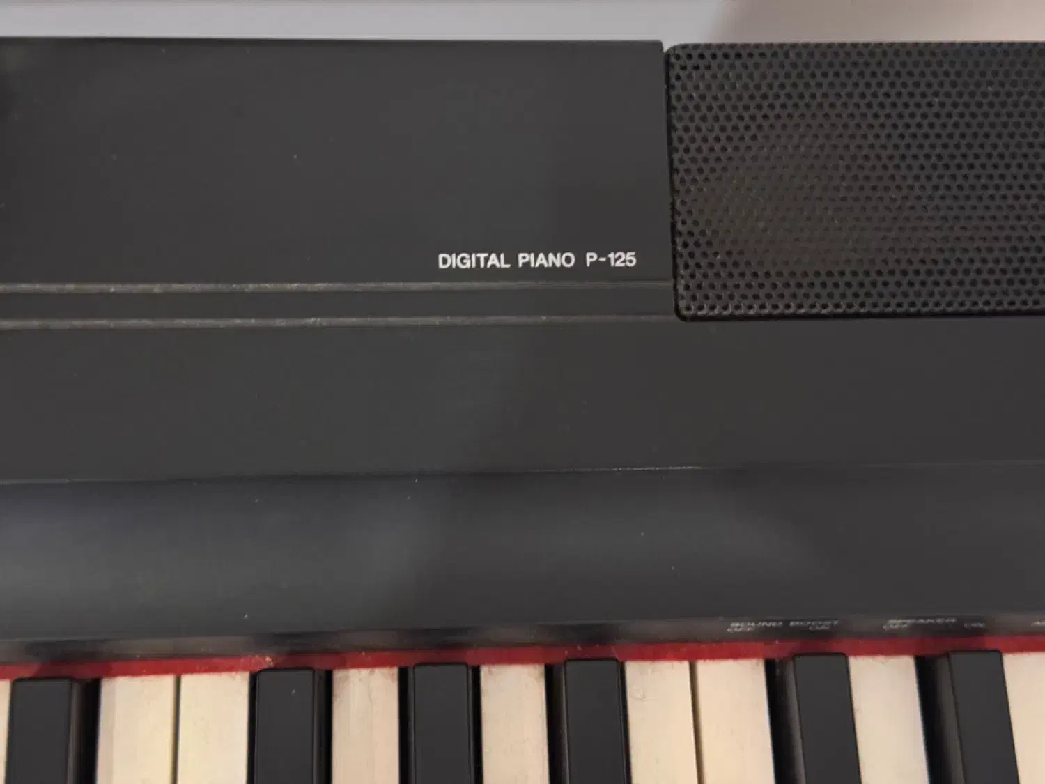 پیانو یاماها ۱۲۵p دیجیتال، نو ، بدون خط و خش|پیانو، کیبورد، آکاردئون|کرج, گلشهر|دیوار