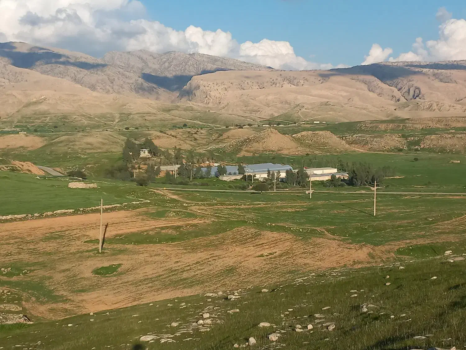 مزرعه مرغداری و گلخانه و باغ و ویلا|فروش دفتر صنعتی، کشاورزی، تجاری|لالی, |دیوار