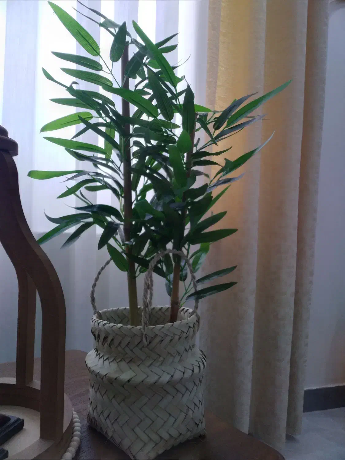 درختچه های بامبو|گل مصنوعی|رشت, نظری|دیوار