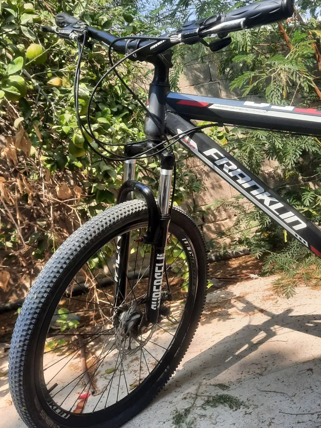 دوچرخه کوهستان حرفه‌ای آماده‌ی ماجراجویی|دوچرخه، اسکیت، اسکوتر|بندر کنگان, |دیوار