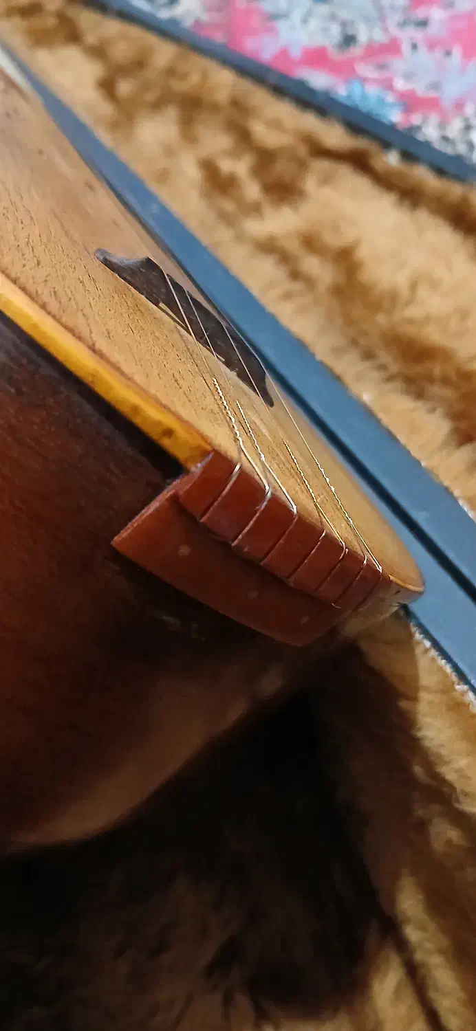 سه تار حرفه ای (مهر طرقه)|سازهای سنتی|مشهد, ارشاد|دیوار