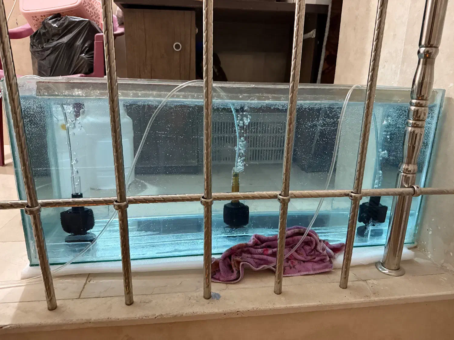 آکواریوم|ماهی|مرودشت, تامین اجتماعی‎|دیوار