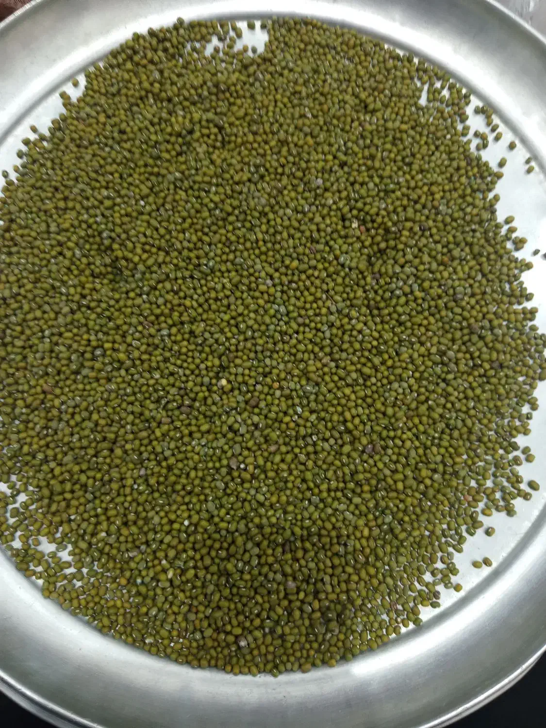 ماش درجه یک|خوردنی و آشامیدنی|حمیدیه, |دیوار