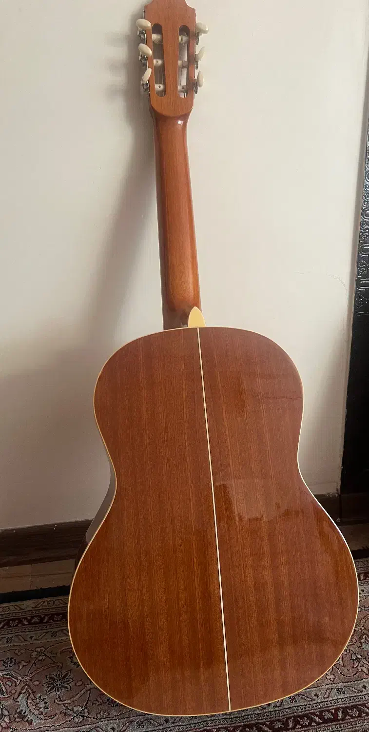 گیتار روتس کره ای بسیار خوش صدا|گیتار، بیس، امپلیفایر|همدان, |دیوار