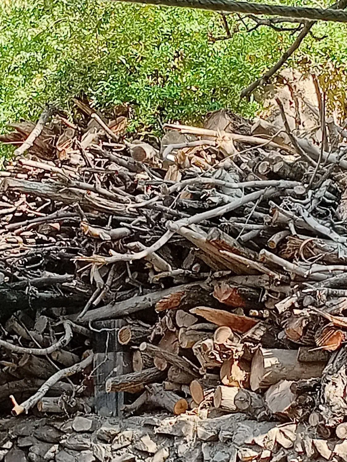 فروش هیزم درجه یک|خدمات باغبانی و درختکاری|ماهان, |دیوار