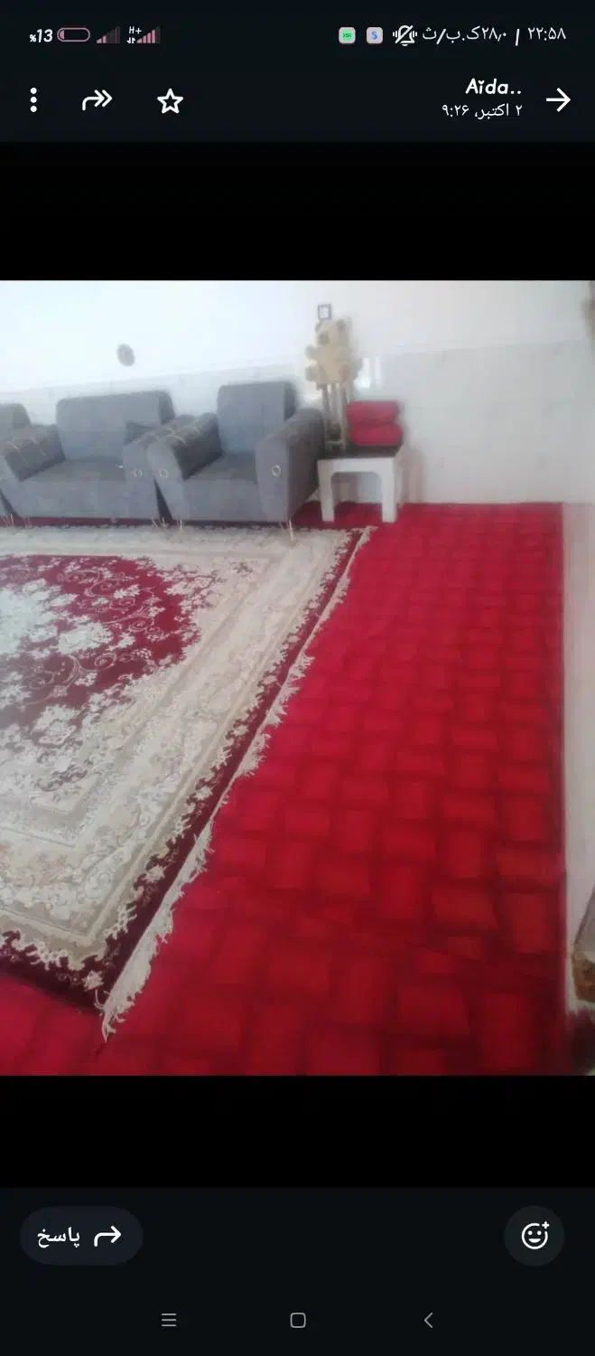 موکت درحدنو|موکت|شیراز, شیخ علی چوپان|دیوار