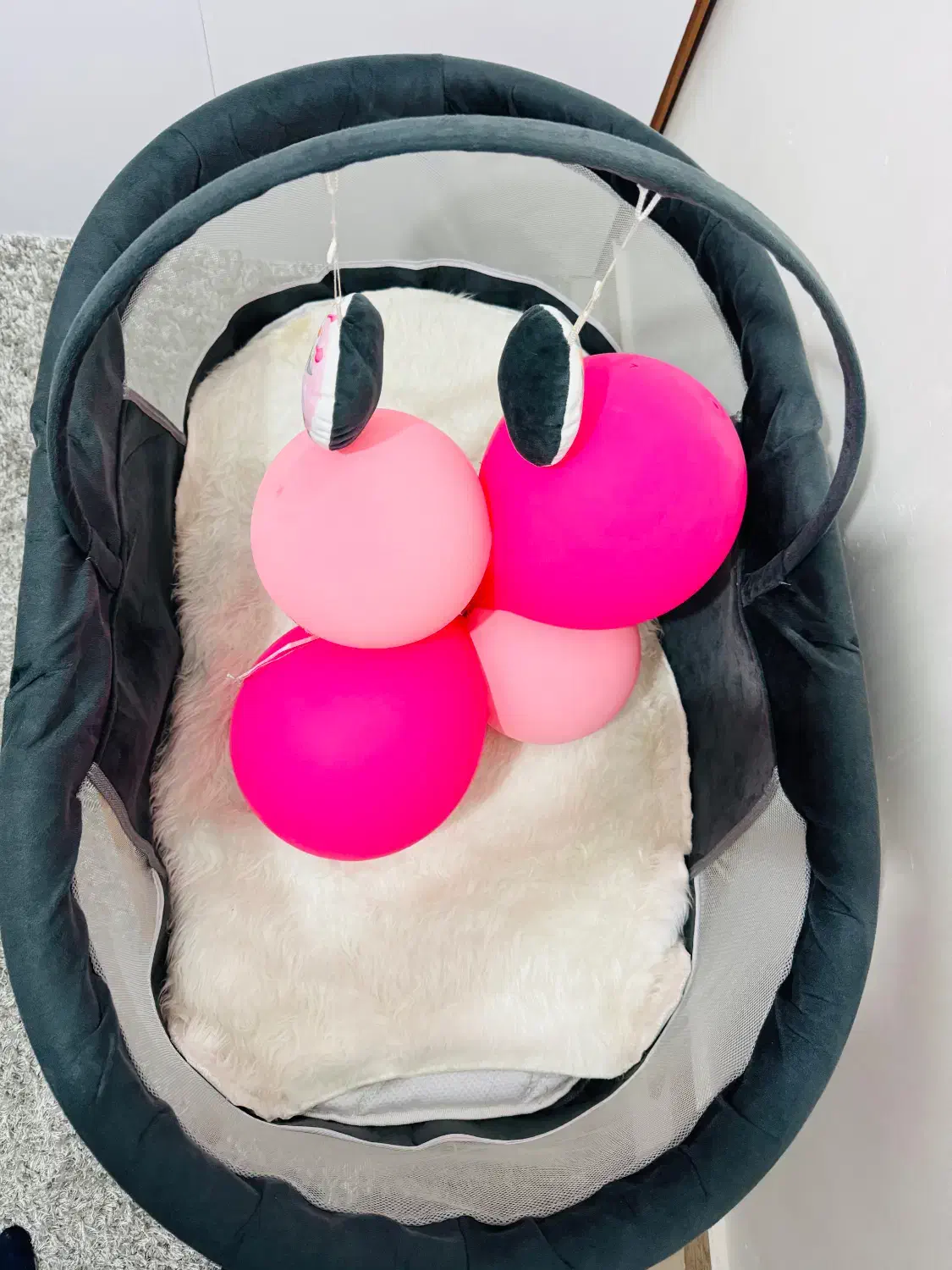 تخت بچه|تخت و صندلی بچه|رشت, نخودچر|دیوار