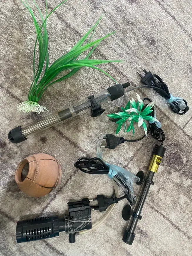 آکواریوم شیشه خم|ماهی|کرمانشاه, |دیوار