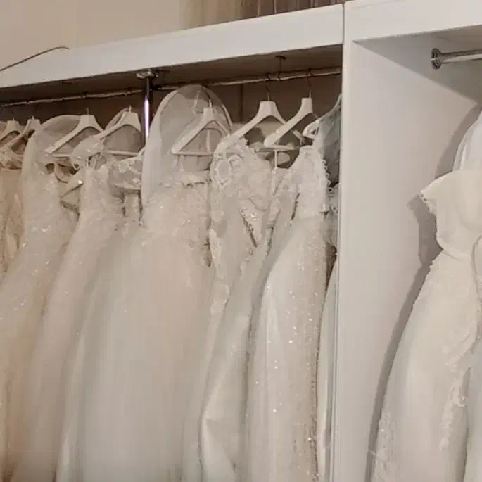 قابل توجه مزونداران لباس عروس|لباس|تهران, درختی|دیوار