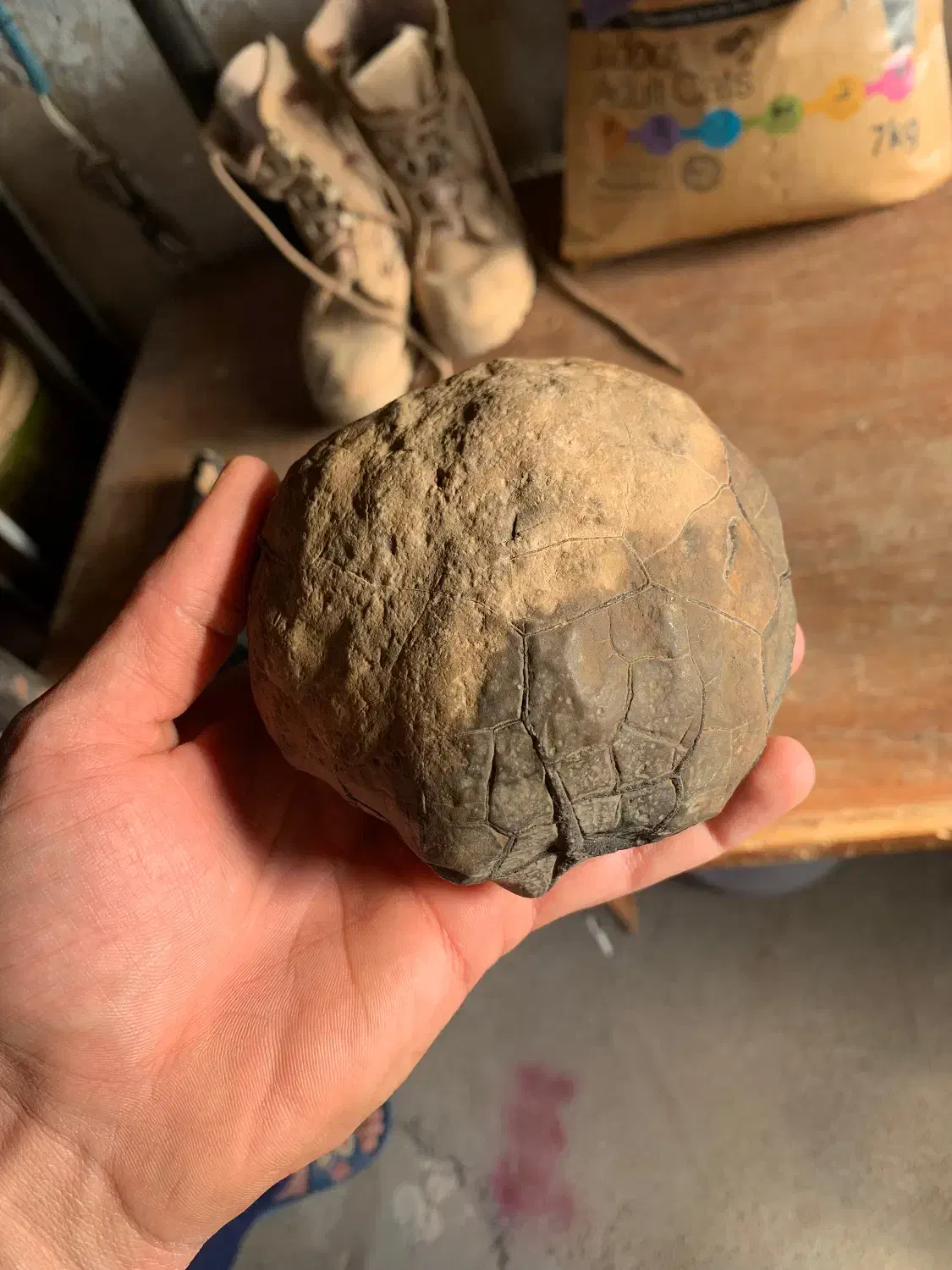 سنگ سپتارین|کلکسیون اشیاء عتیقه|بجنورد, |دیوار