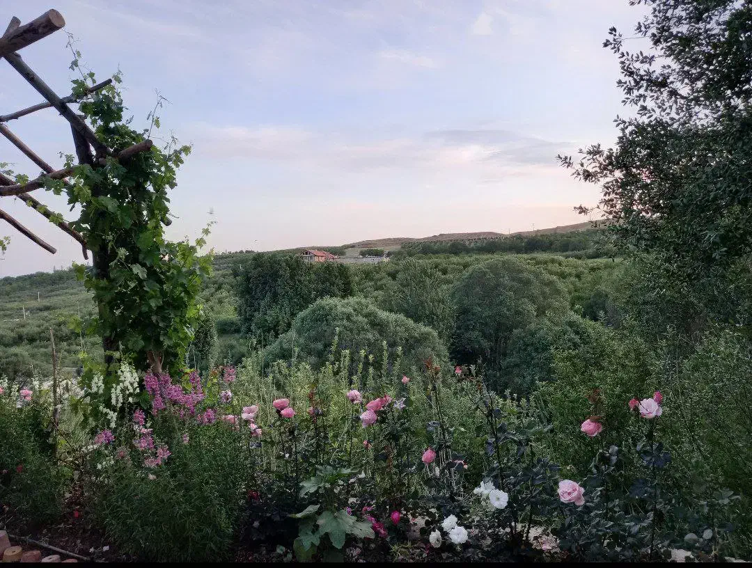 اجاره باغ ویلایی سرسبز نزدیک سپیدان ،روزانه|اجارهٔ کوتاه‌مدت ویلا و باغ|سپیدان, |دیوار