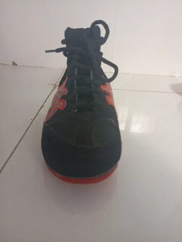 کفش کشتی ساق دار|کیف، کفش، کمربند|پرند, فاز ۴|دیوار