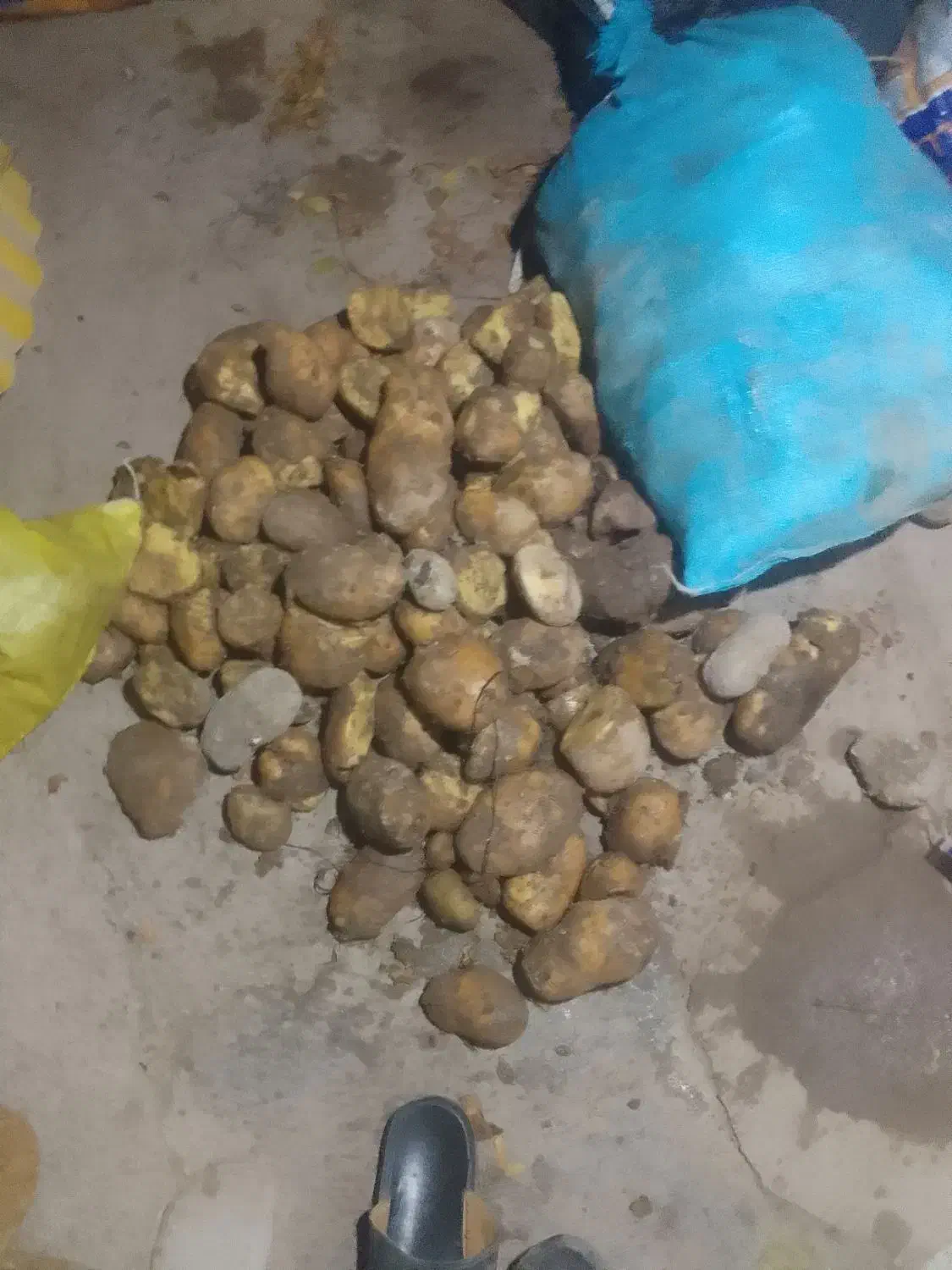 تبلیغات|حیوانات مزرعه|اردبیل, |دیوار