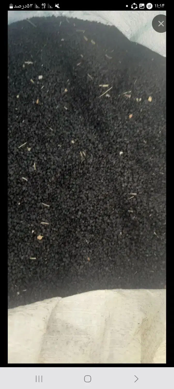 بزر پیاز مرغوب با زمانت انواع تخم|گل و گیاه طبیعی|جره و بالاده, |دیوار