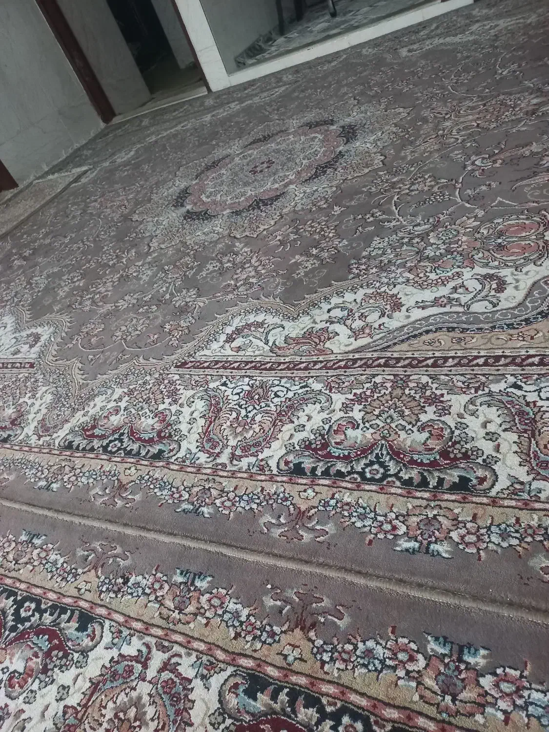 قالی ۱۲متری|فرش|اشکذر, |دیوار